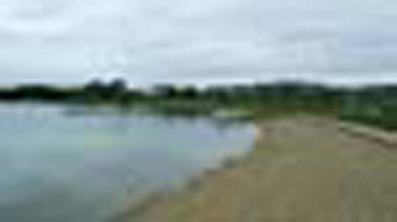 DSCF1374