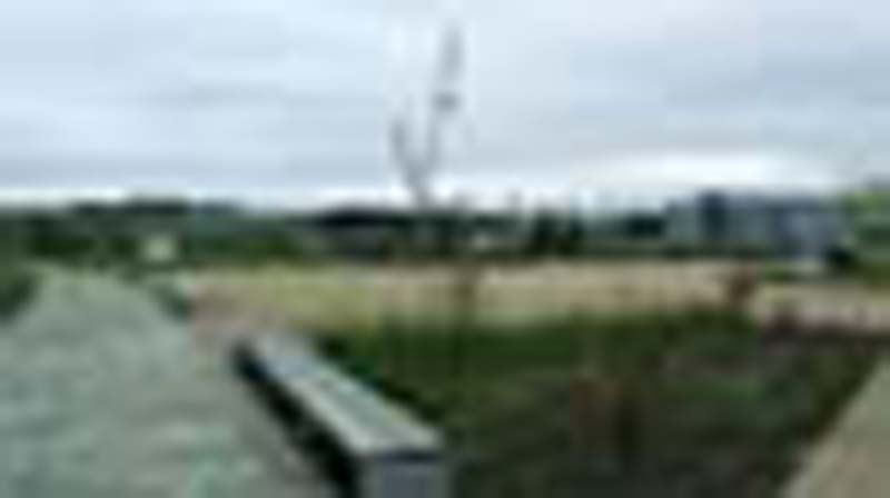 DSCF1377